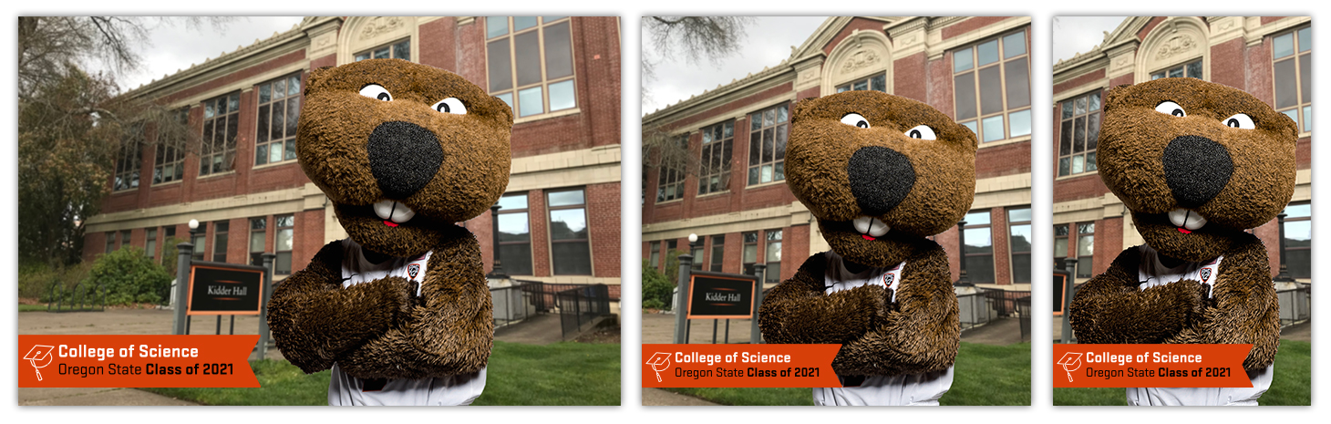 Three mockups showing how the Class of 2021 Frames look on three types of images. The photo is Benny the Beaver in front of Kidder Hall. The frame says College of Science Oregon State Class of 2021 on an orange background.