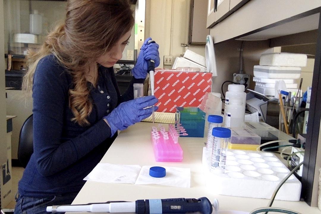 Maria Alcatraz working with samples in lab