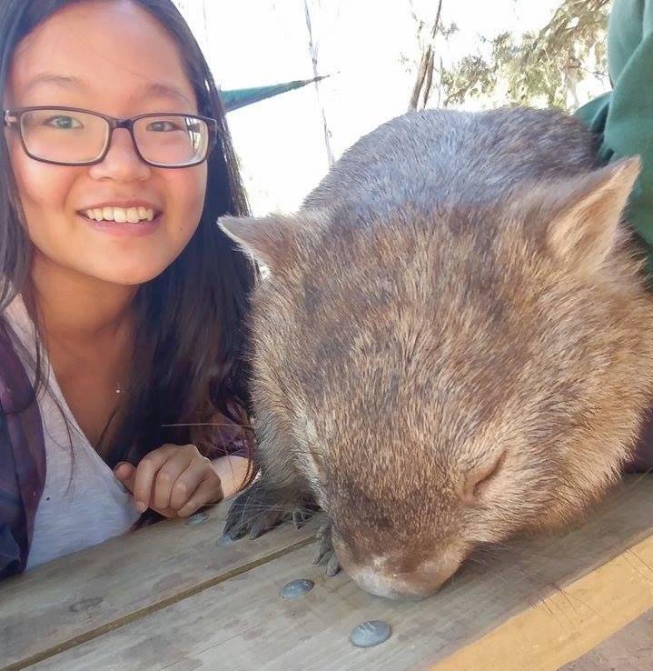 Milan Sengthep taking selfie with a wombat on picnic table