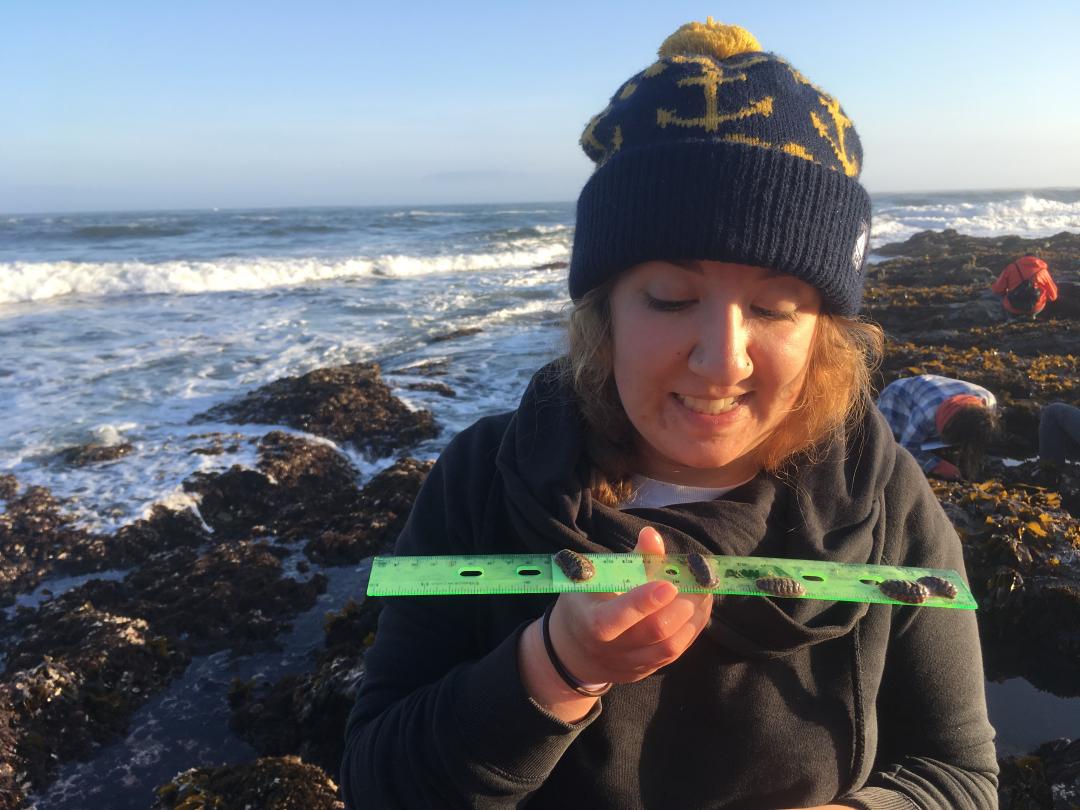Sonora Meiling measures ocean creatures on the Oregon Coast