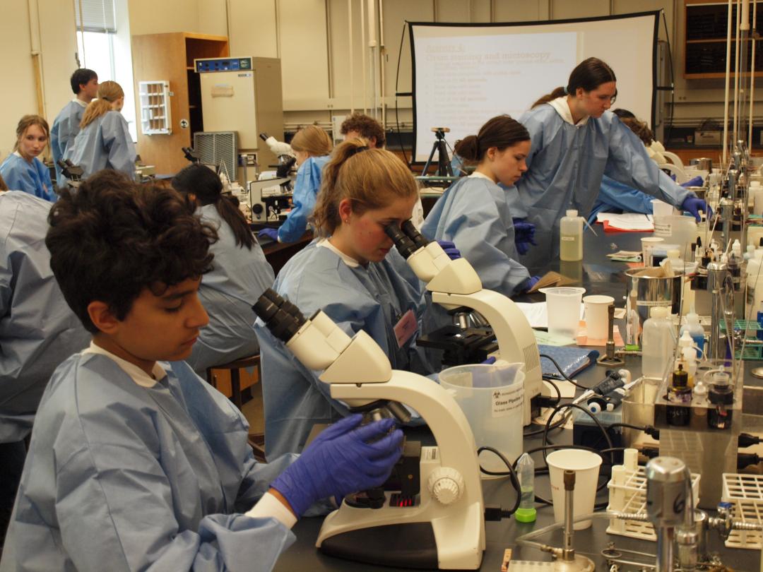 Students participate in the Pernot Microbiology camp.