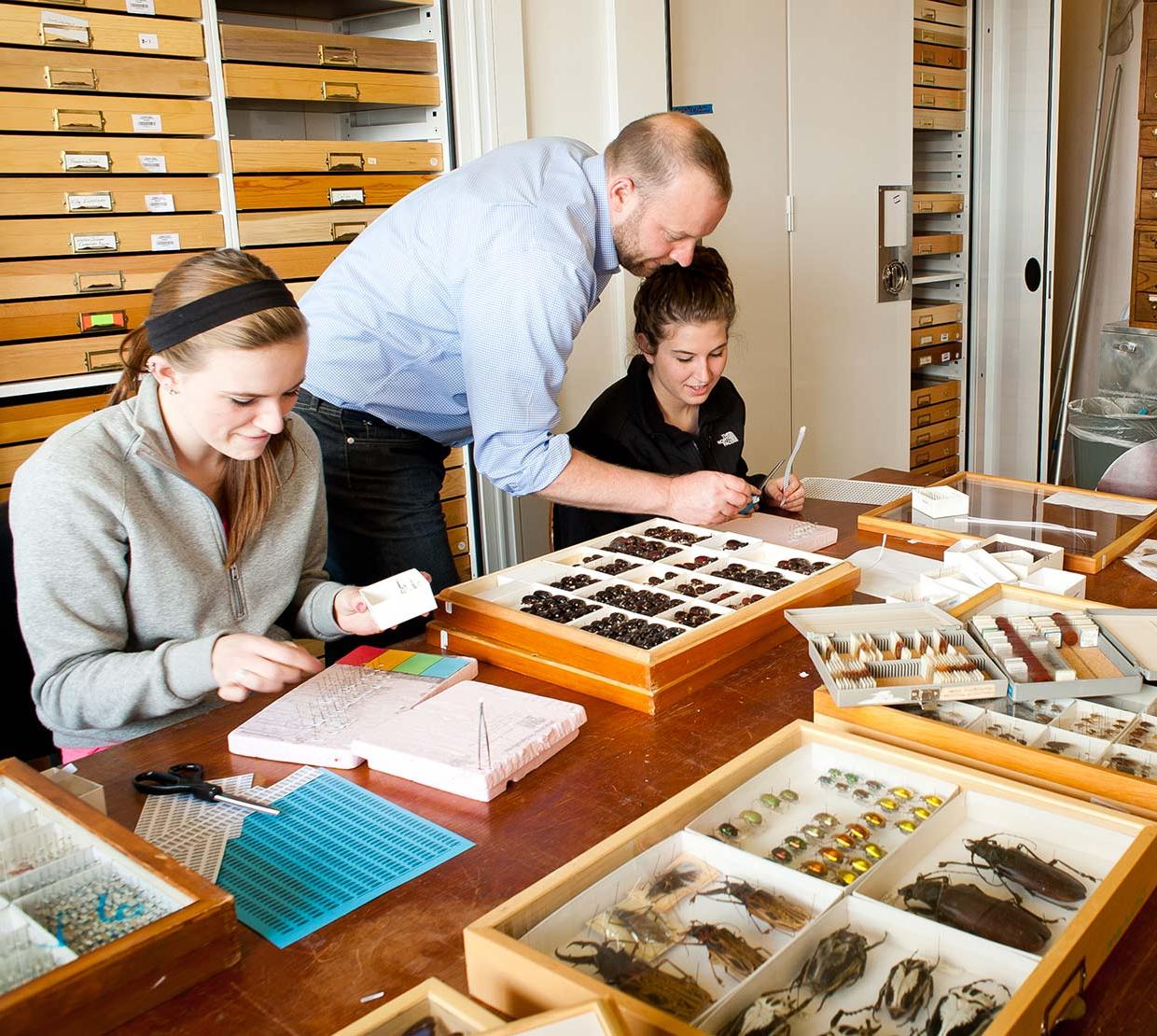 Chris Marshall and student analyzing insect collection
