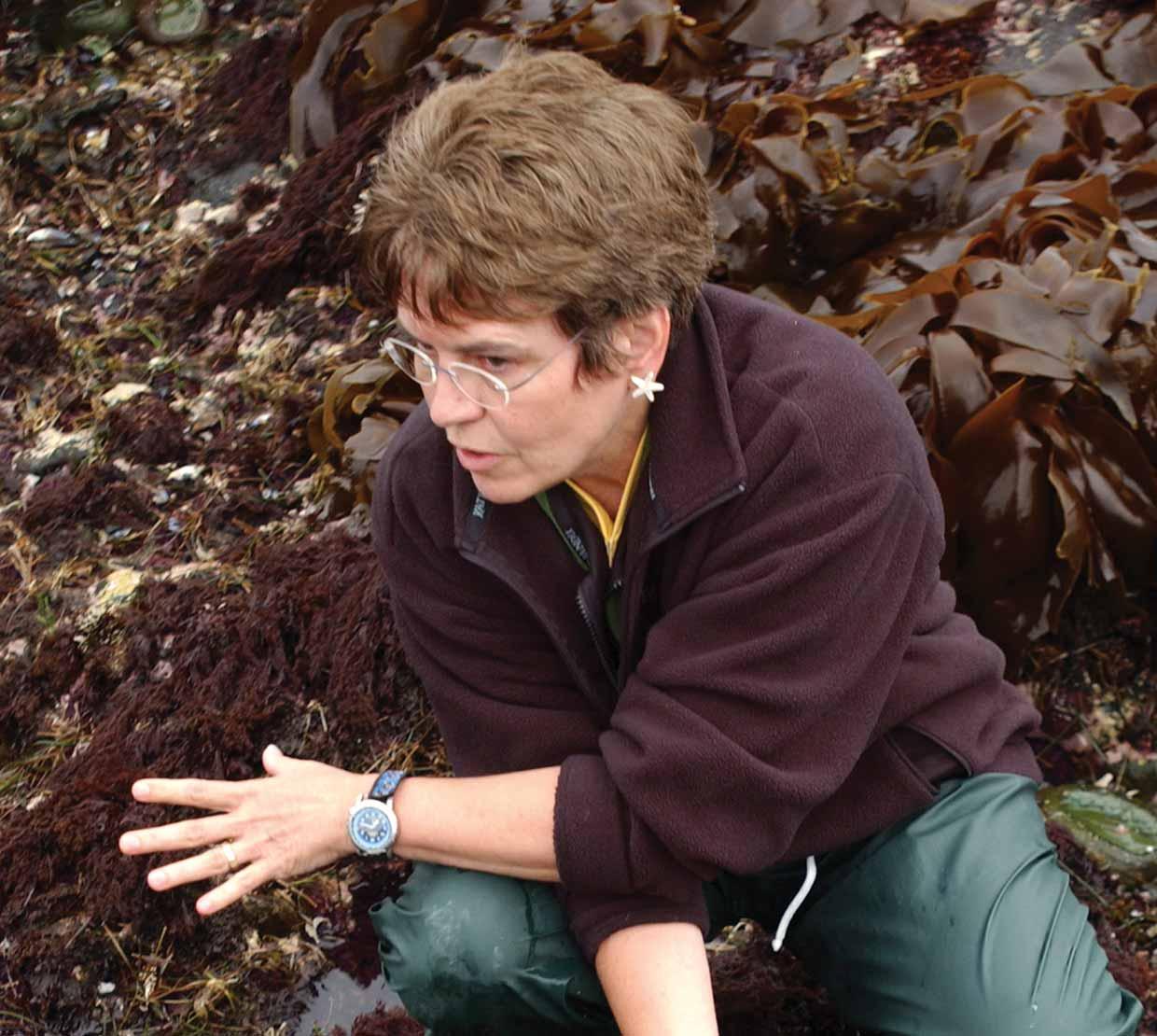 Jane Lubchenco sitting in seaweed and urchins