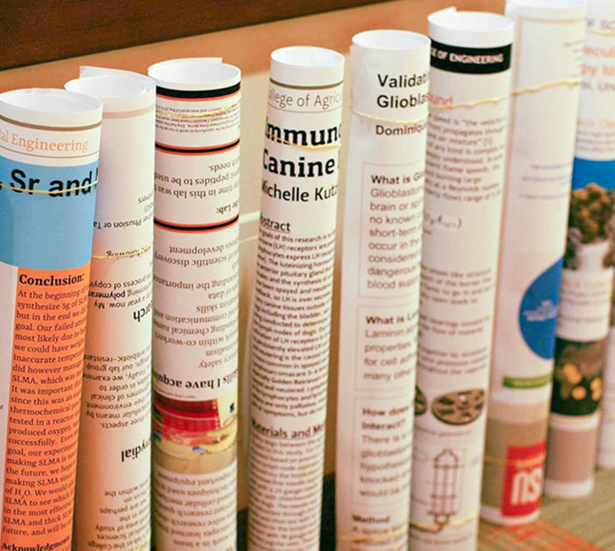 Row of rolled up STEM research posters