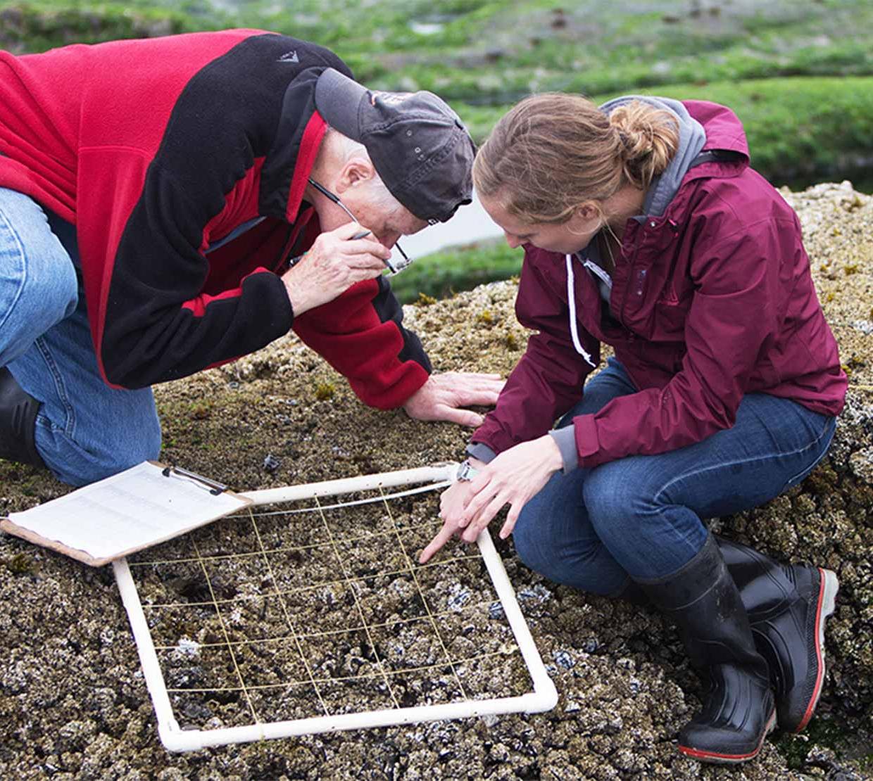 student and mentor studying section of soil