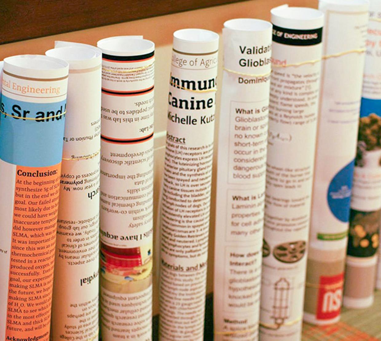 Row of rolled up STEM research posters