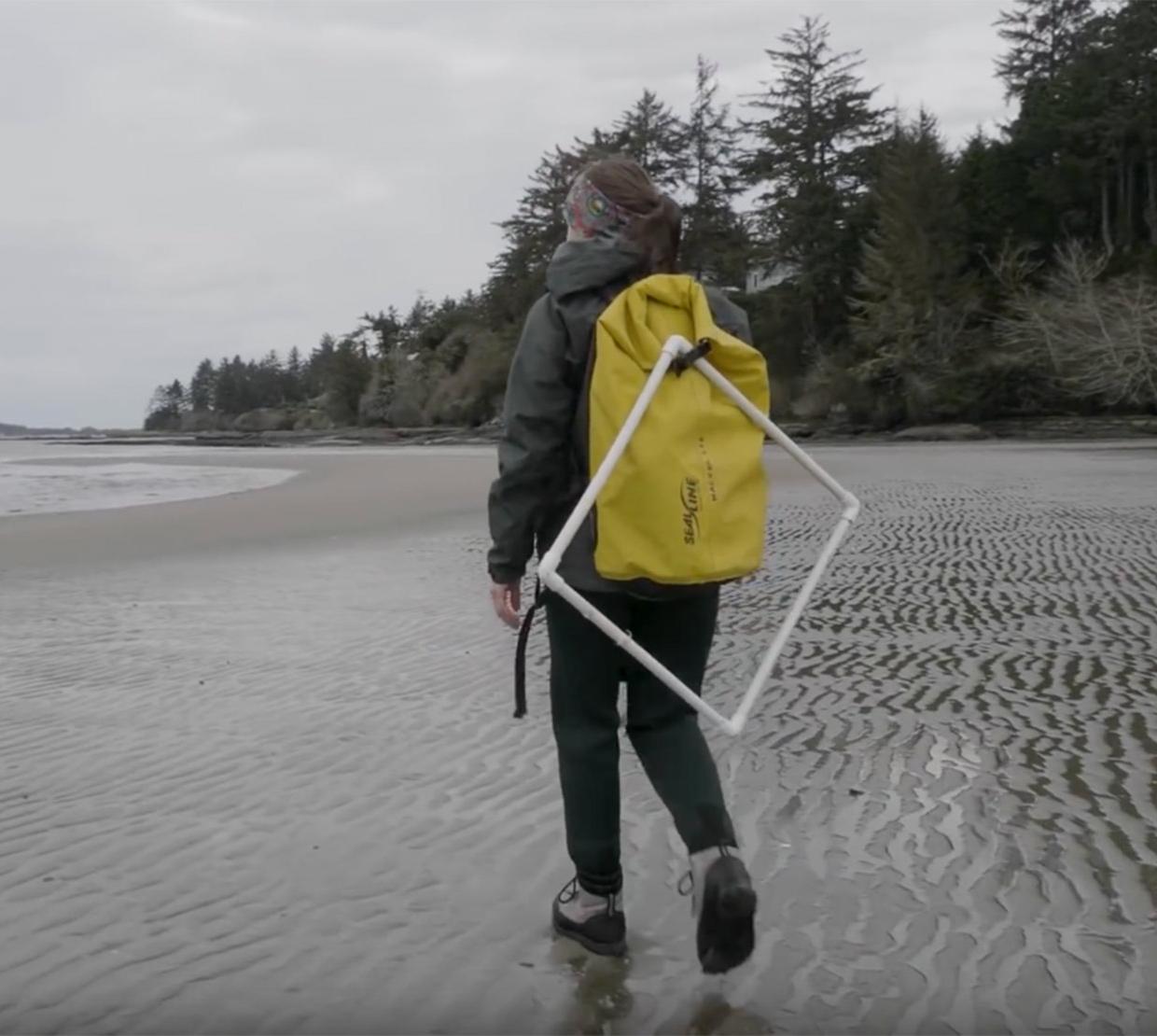 marine researcher walking on cloudy beach carrying hiking and research gear