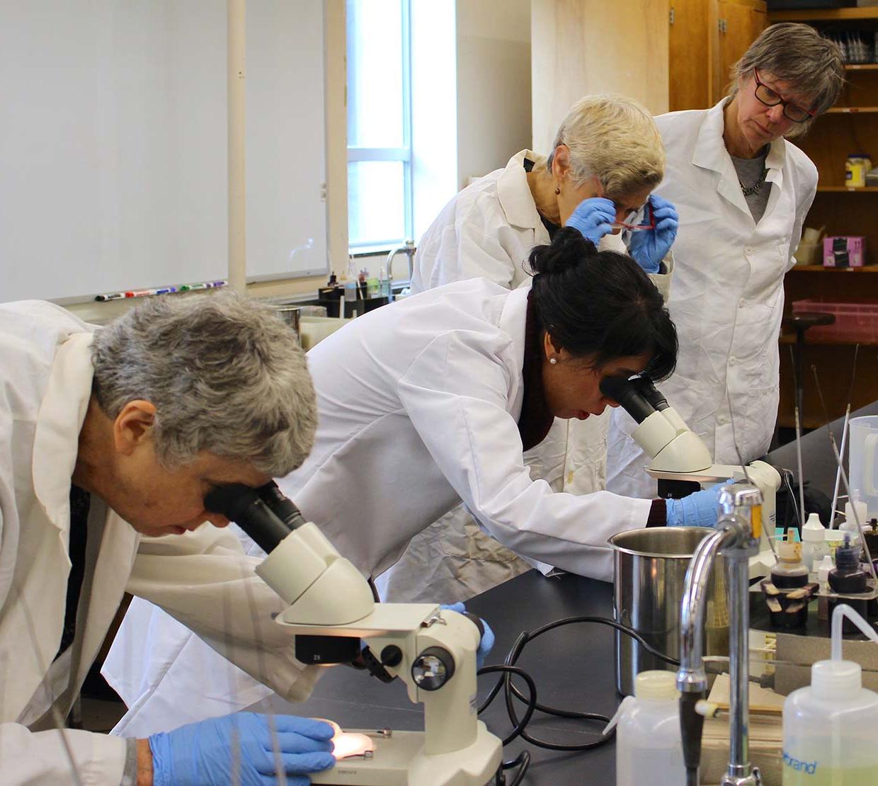 female scientists looking into microscopes in lab