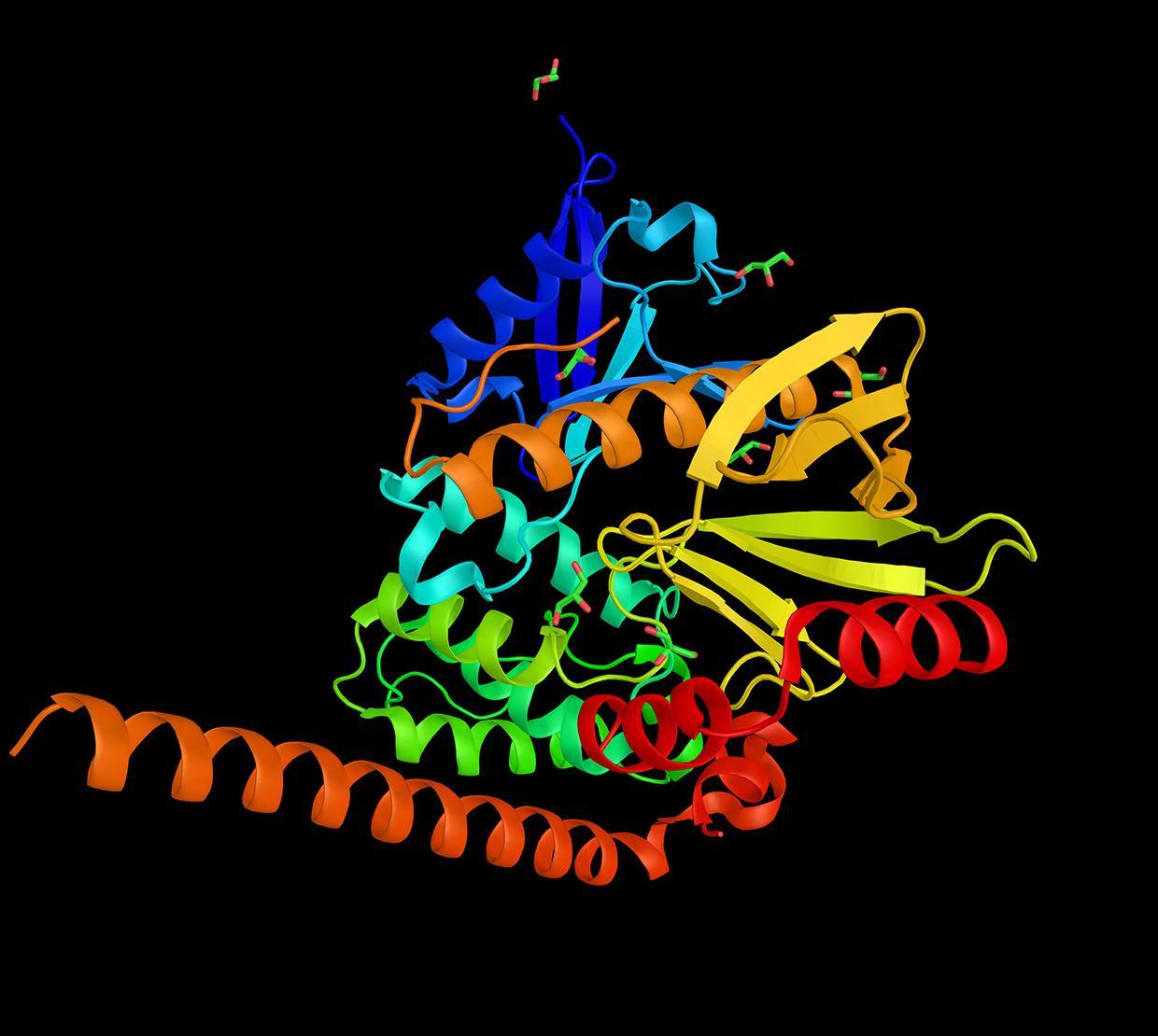 3d model of calprotectin protein
