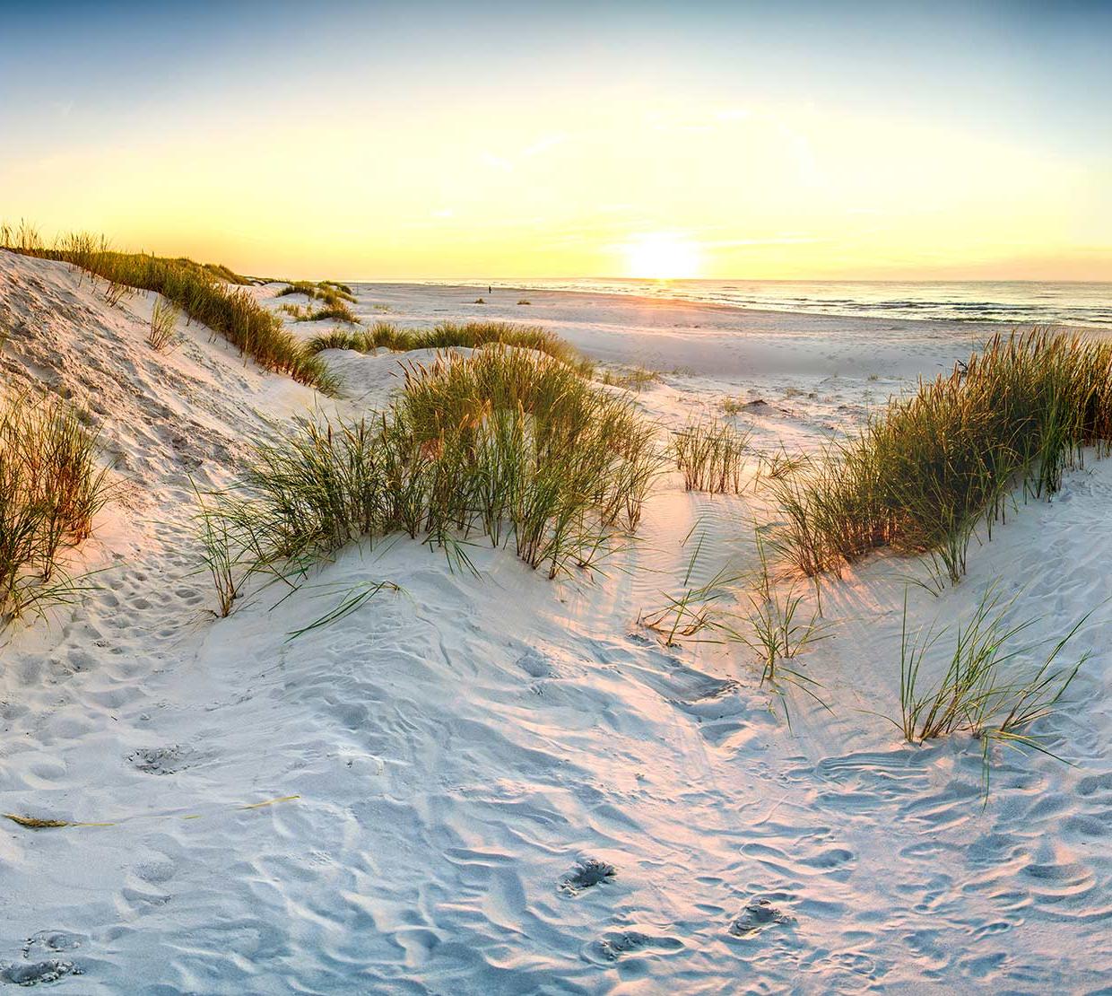 Oregon coast sand dunes on beach during sunset