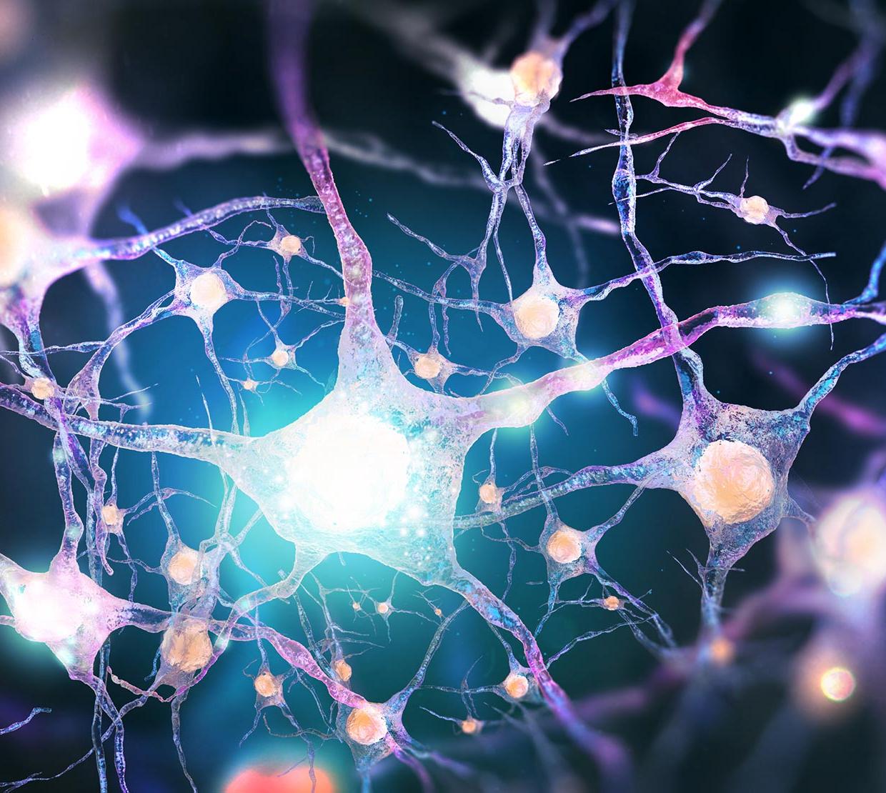 Новые клетки мозга. Нейроны на чипе. Клетка мозга и Вселенная. Снежинки стволовые клетки. Нейропаразитология.