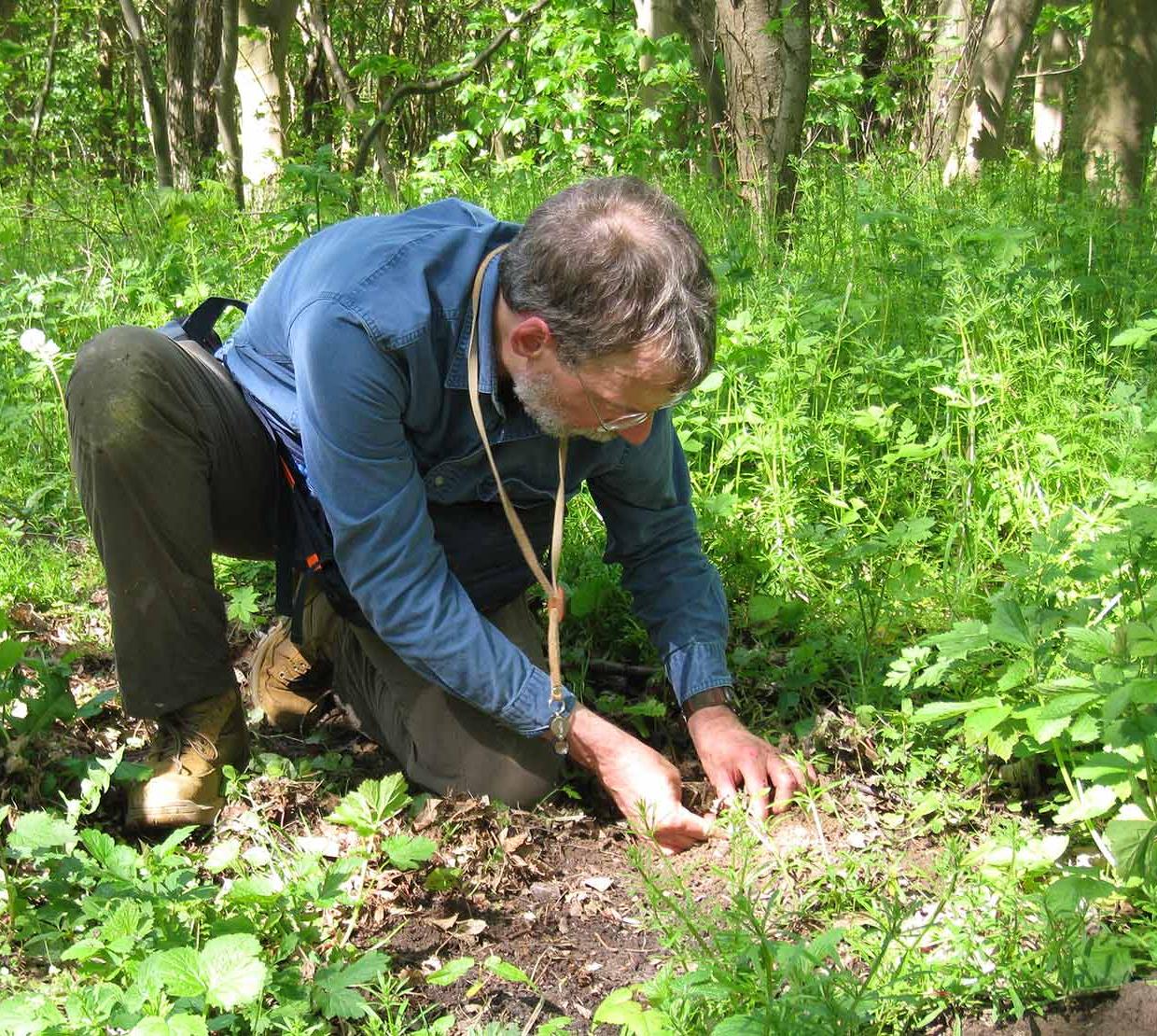 David Maddison diggings through soil in forest