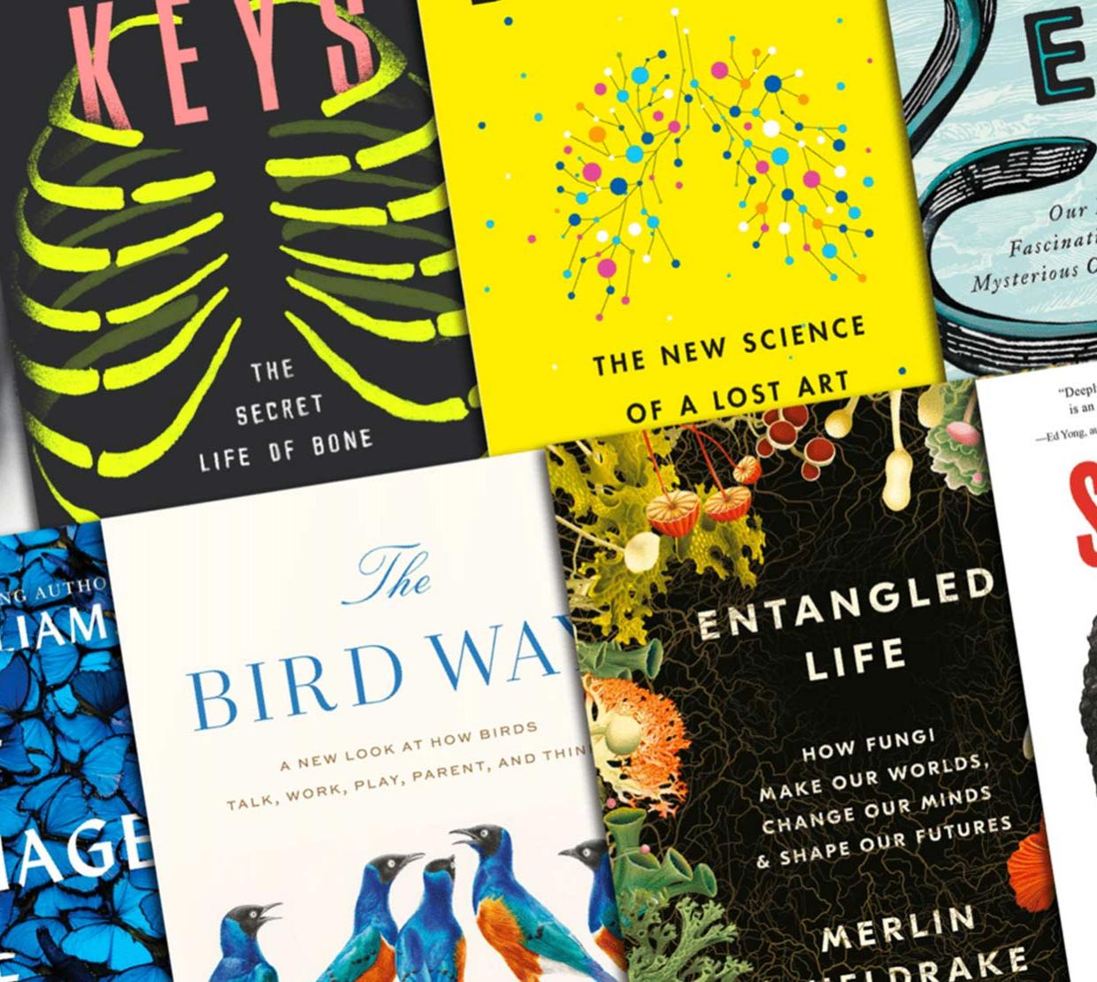 Science-themed novels lined up in an angled grid
