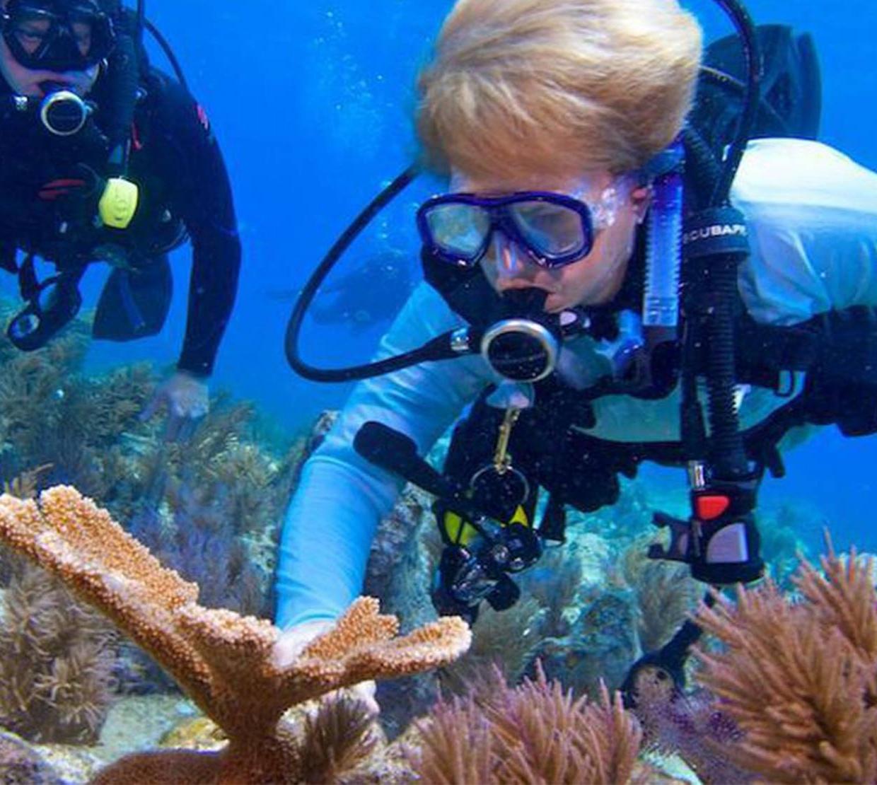 Oregon State marine ecologist Jane Lubchenco examines corals in the ocean