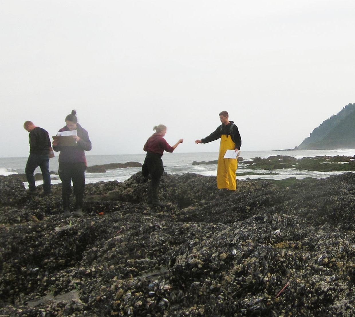 People standing on a rocky beach. 