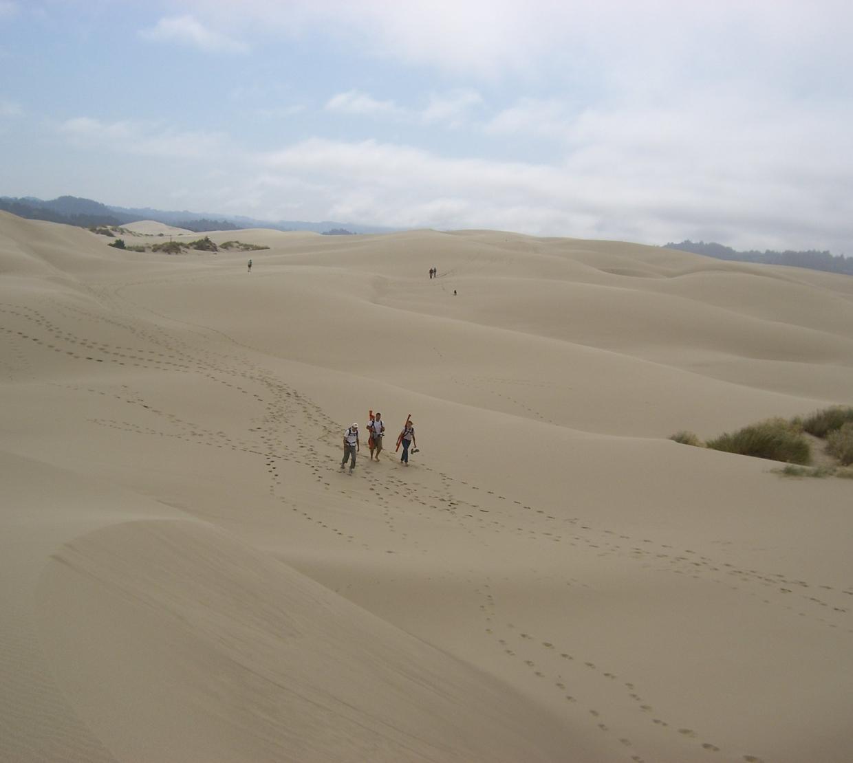 Shifting sands: protecting environments from dune migration