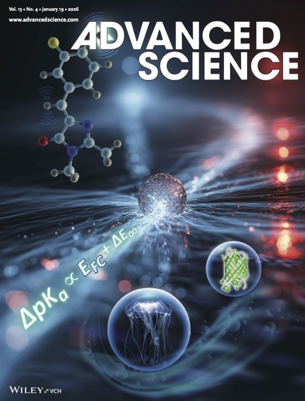 A cover of an Advanced Science journal with bubbles. 