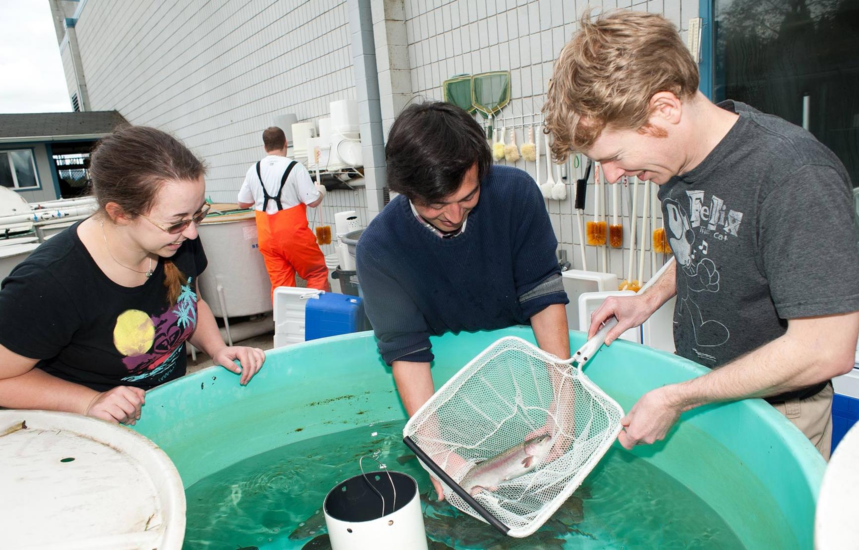 students working with salmon outside of lab