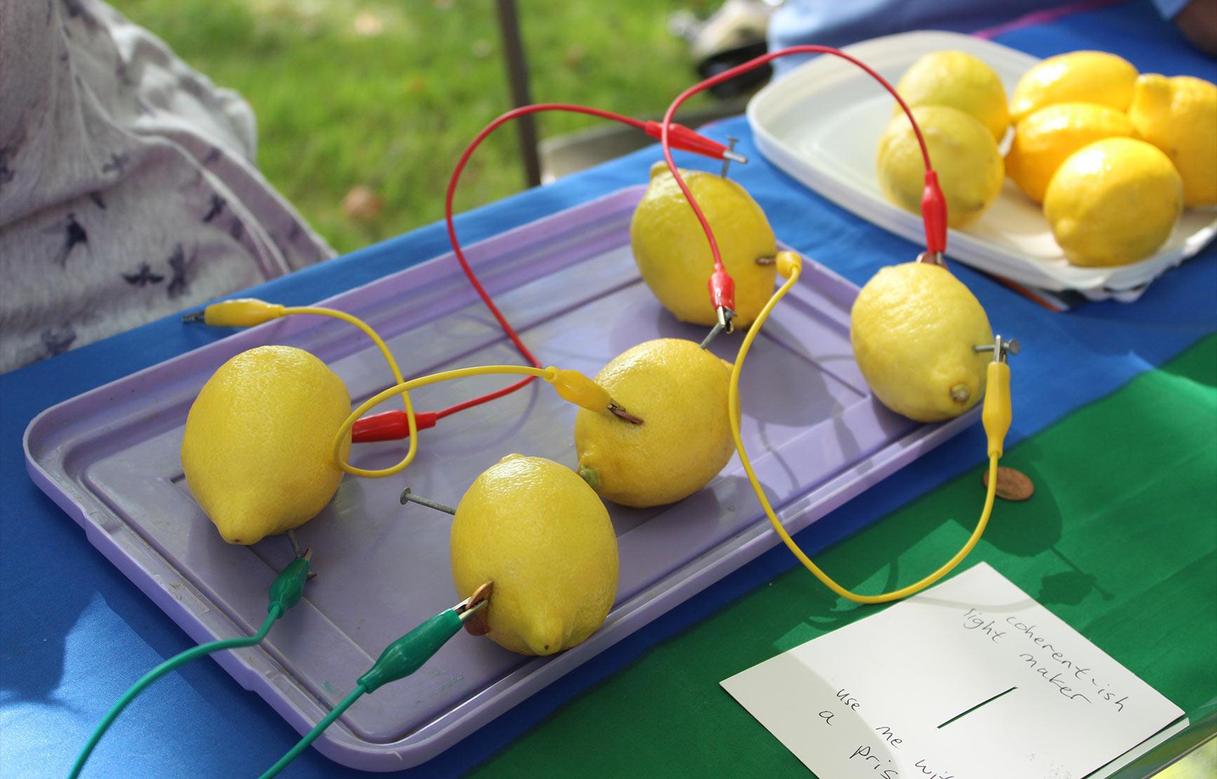 Lemons wired up in science experiment at science club booth table.
