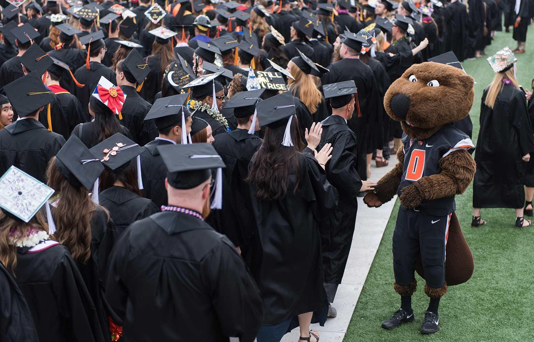 Benny the Beaver shaking hands with graduating seniors.