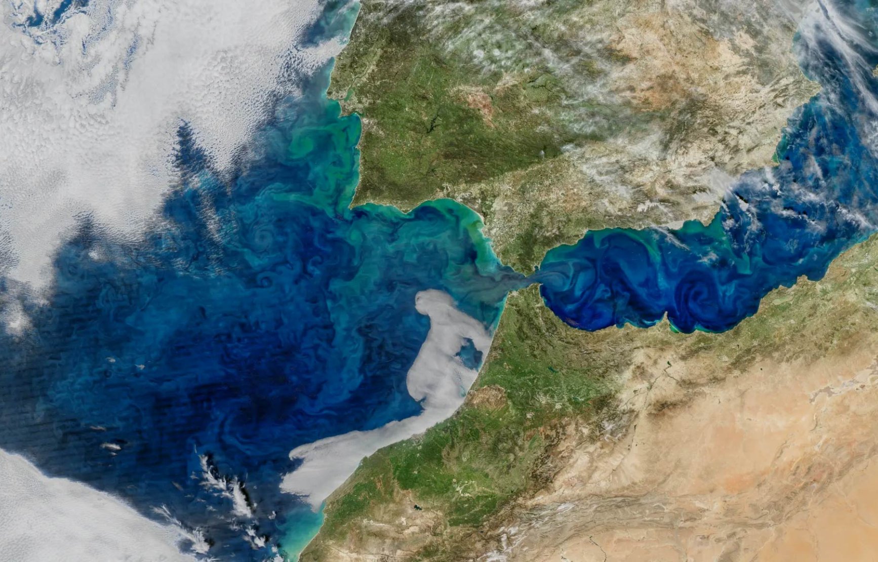 Aerial view showing that phytoplankton blooms are visible from space