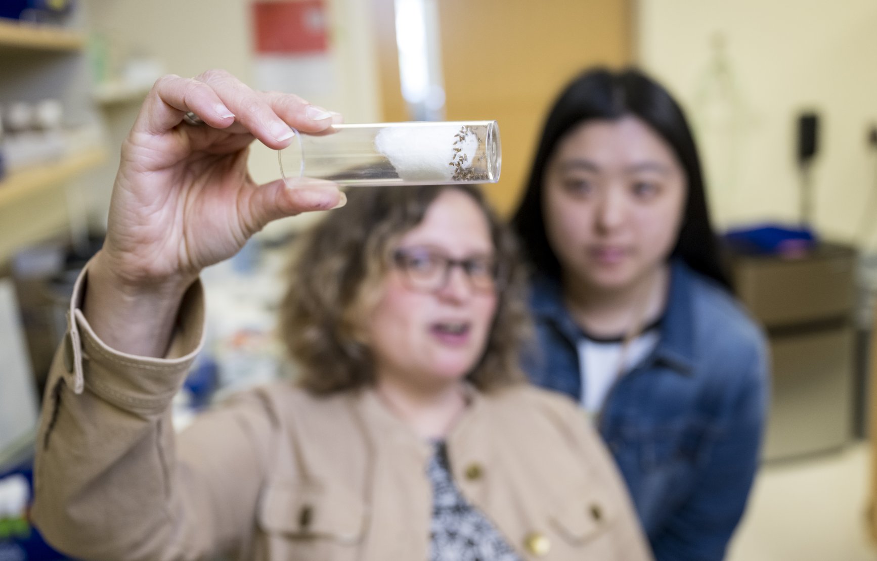 In a lab, an OSU scientist holds up a tube of model fruit flies. She and another scientist consider the sample. 