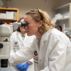 Two women in lab-coats look into a microscope.