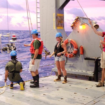 Giovannoni lab performs research off of a boat