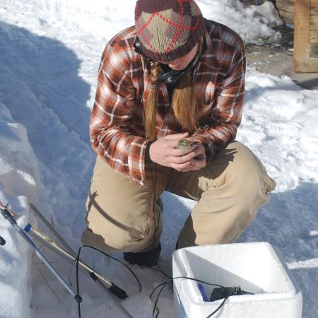 Jamie Cornelius kneels down in snow holding a small bird.