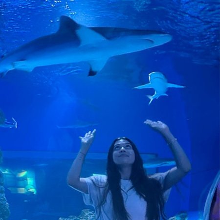 A woman in an aquarium looking at a shark.