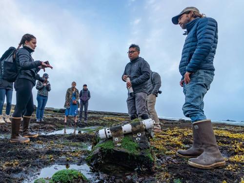 Francis Chan and research team looking at Tidepools in Newport