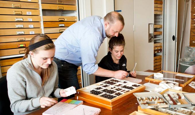 Chris Marshall and student analyzing insect collection