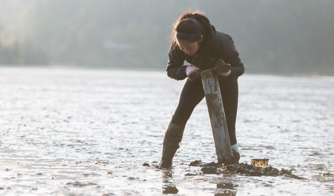Woman drilling research equipment into shallow river shore