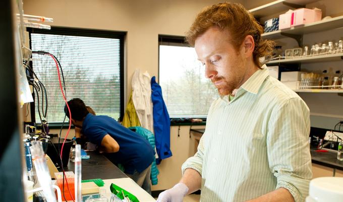 Colin Johnson working with samples in lab
