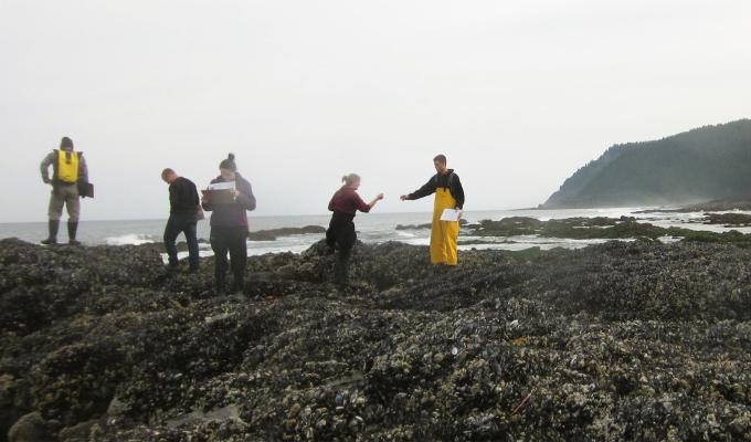 People standing on a rocky beach. 