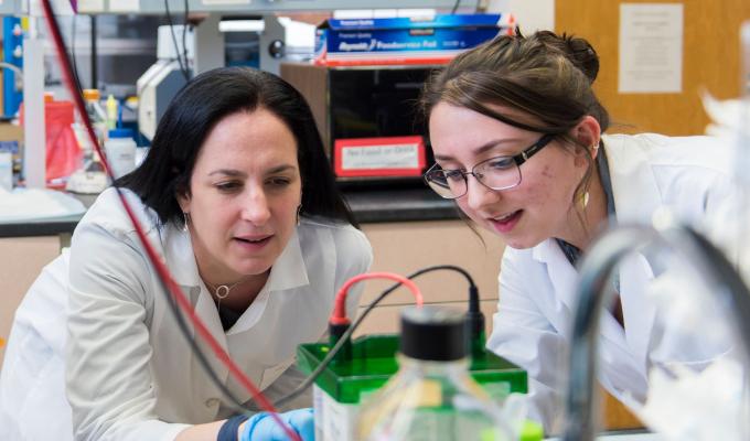 Maria Franco and Lydia Bastian working in the biochemistry and biophysics lab.
