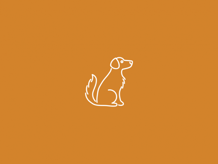 Dog icon above a burnt orange backdrop.