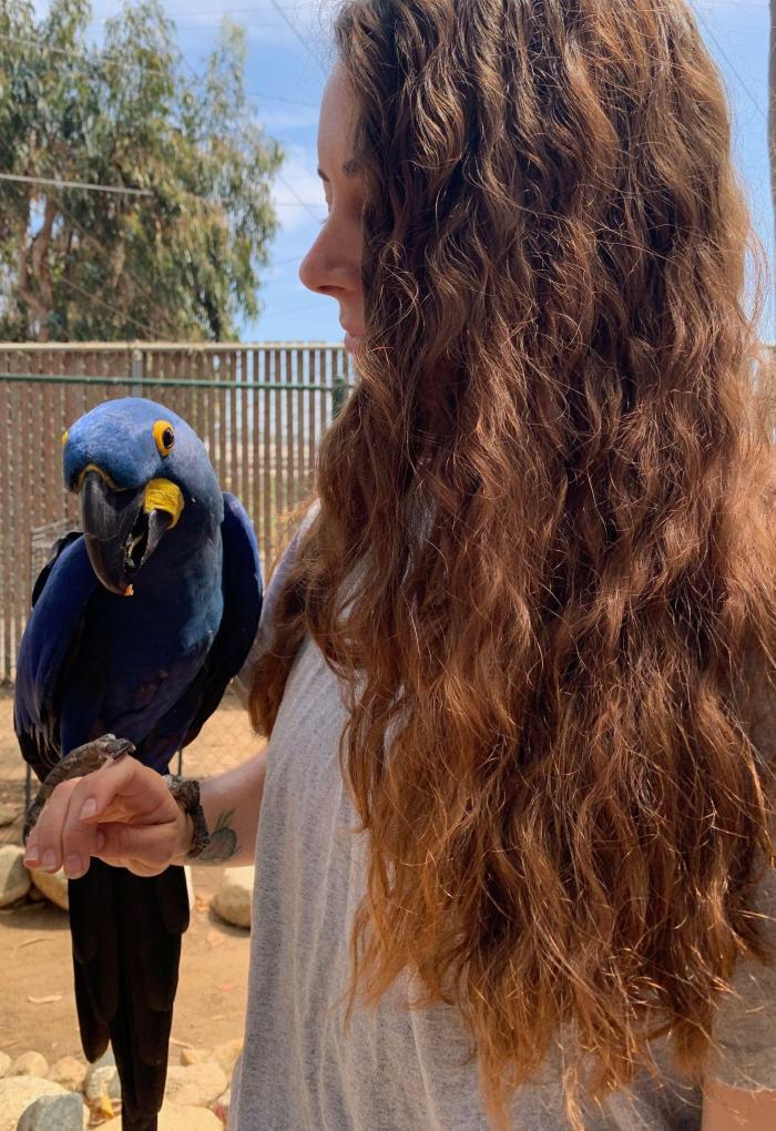 Vagner with a Hyacinth macaw 