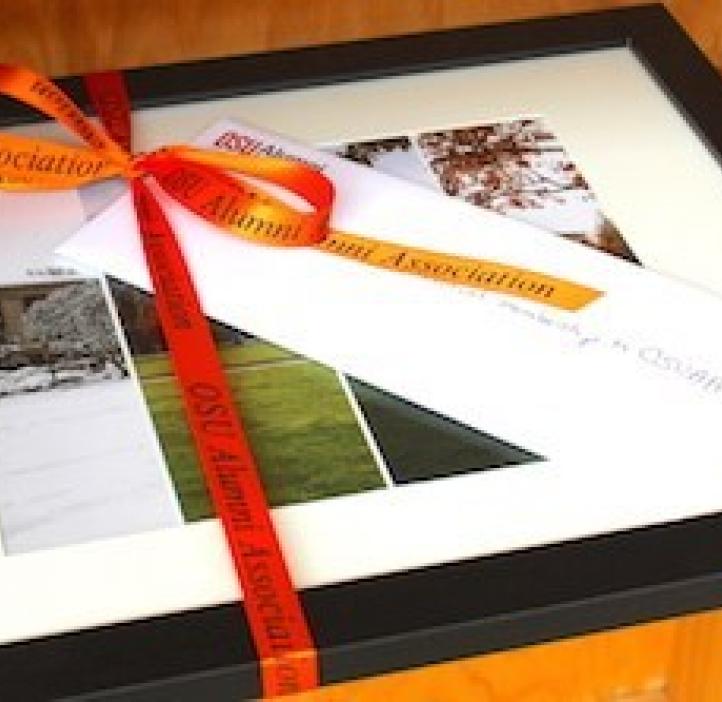 framed senior gift display wrapped in bow