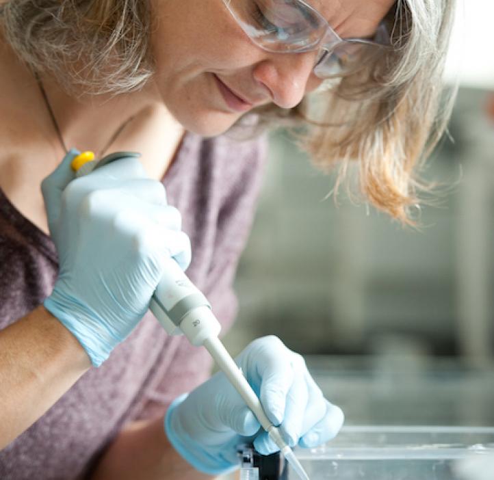 Rebecca Vega-Thurber, Microbiology professor working in lab