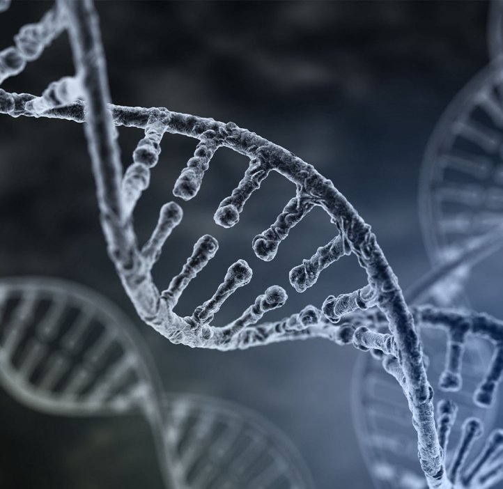 DNA strands. 
