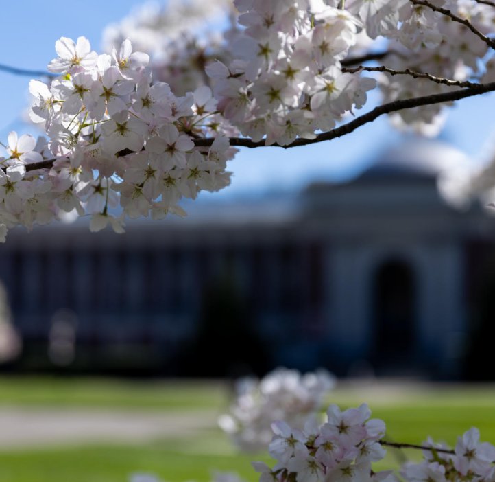 Image of Oregon State University Corvallis campus in spring.