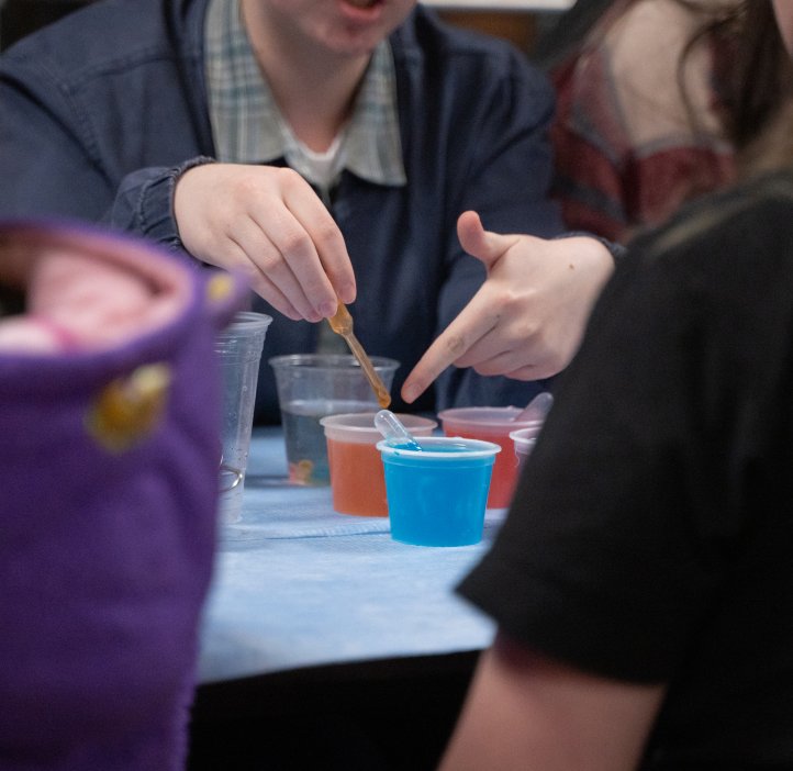 An OSU student's hands are visible as they show the child across from them the experiment. Multiple cups of colorful liquid are between them. 