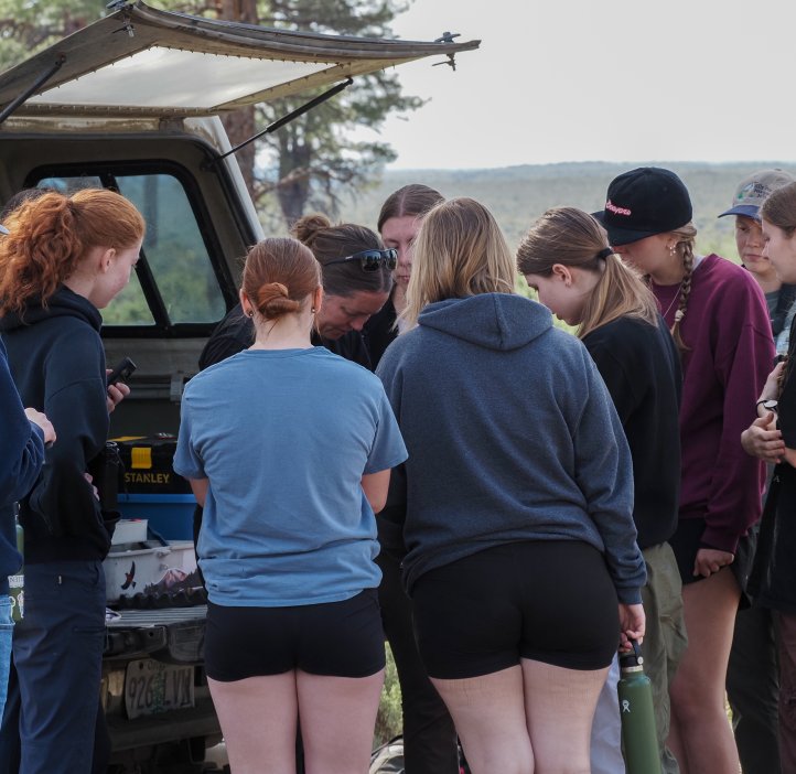 Students gather round an instructor outside who is holding a bird.