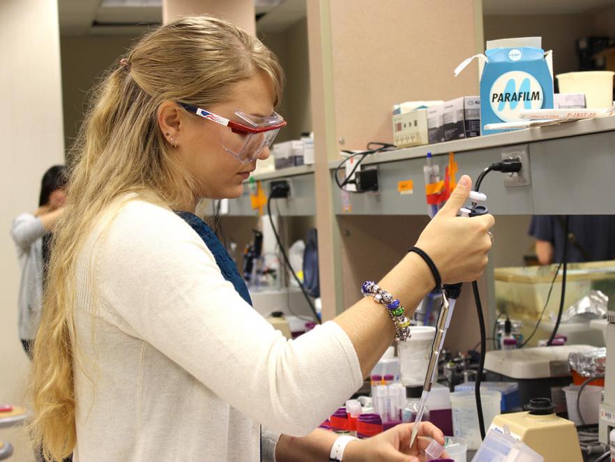 Student working in genetic expansion lab